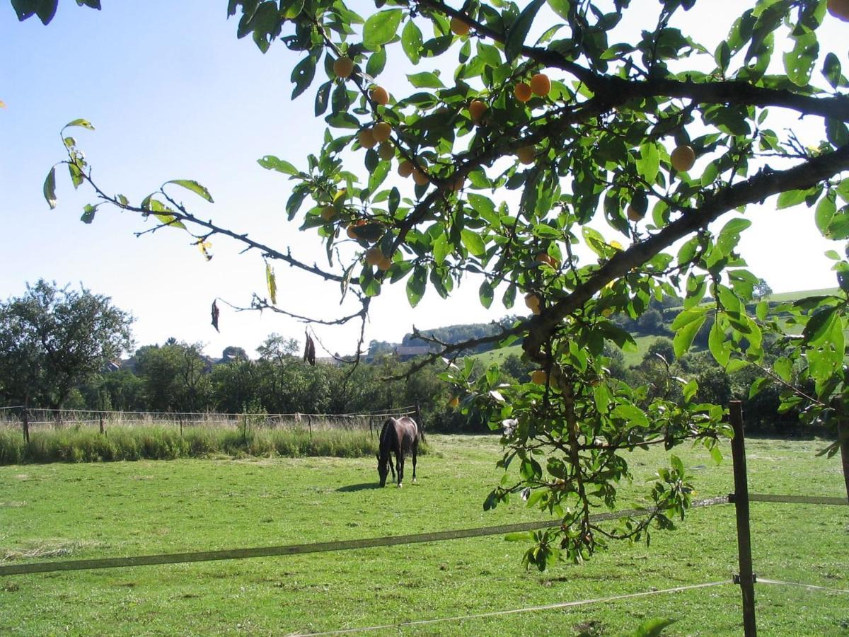4 Collines Bed and Breakfast Hagnicourt Buitenkant foto